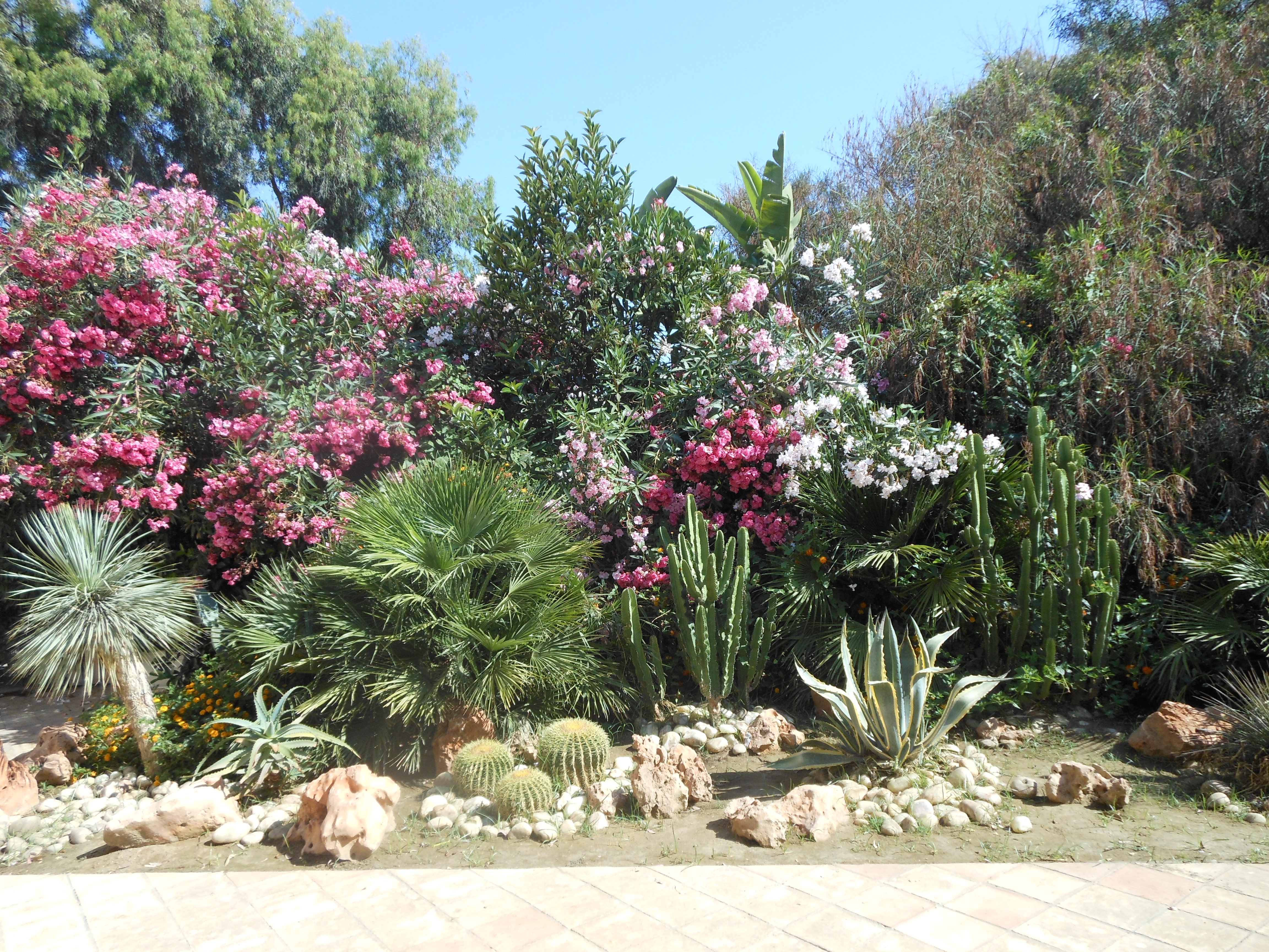 Well Dressings Bakewell
